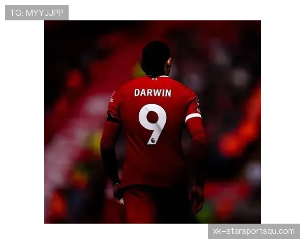 努涅斯本菲卡时期荣誉解析：成名基础是否已奠定